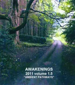V.A. - Awakenings 2011 Vol. 1-1.5 (2011)
