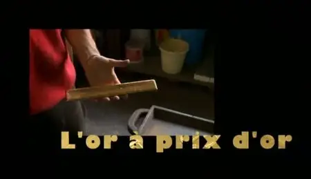 (Fr5) L'or à prix d'or + débat (2011)