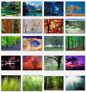 Nature Wallpapers 2 Pack