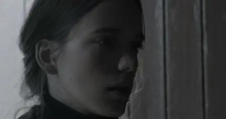 The Last Photograph (2017)