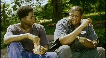 Smoke (1995)