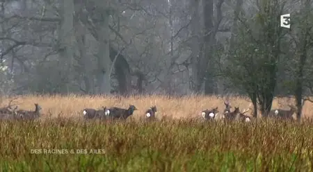 (Fr3) Des racines et des ailes : Patrimoines d'exception (2014)