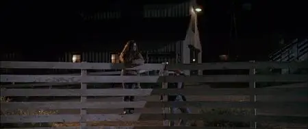 Flicka (2006)