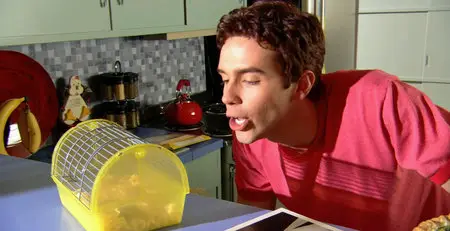 Another Gay Movie (2006)