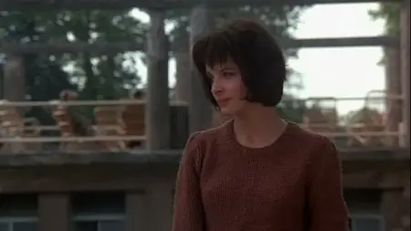 The Unbearable Lightness of Being (1988) The Criterion Collection #55 [Repost]