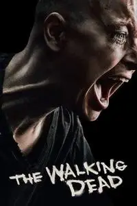 The Walking Dead S10E17