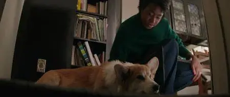 Mes vies de chien / A Dog's Purpose (2017)