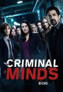 Criminal Minds S03E15