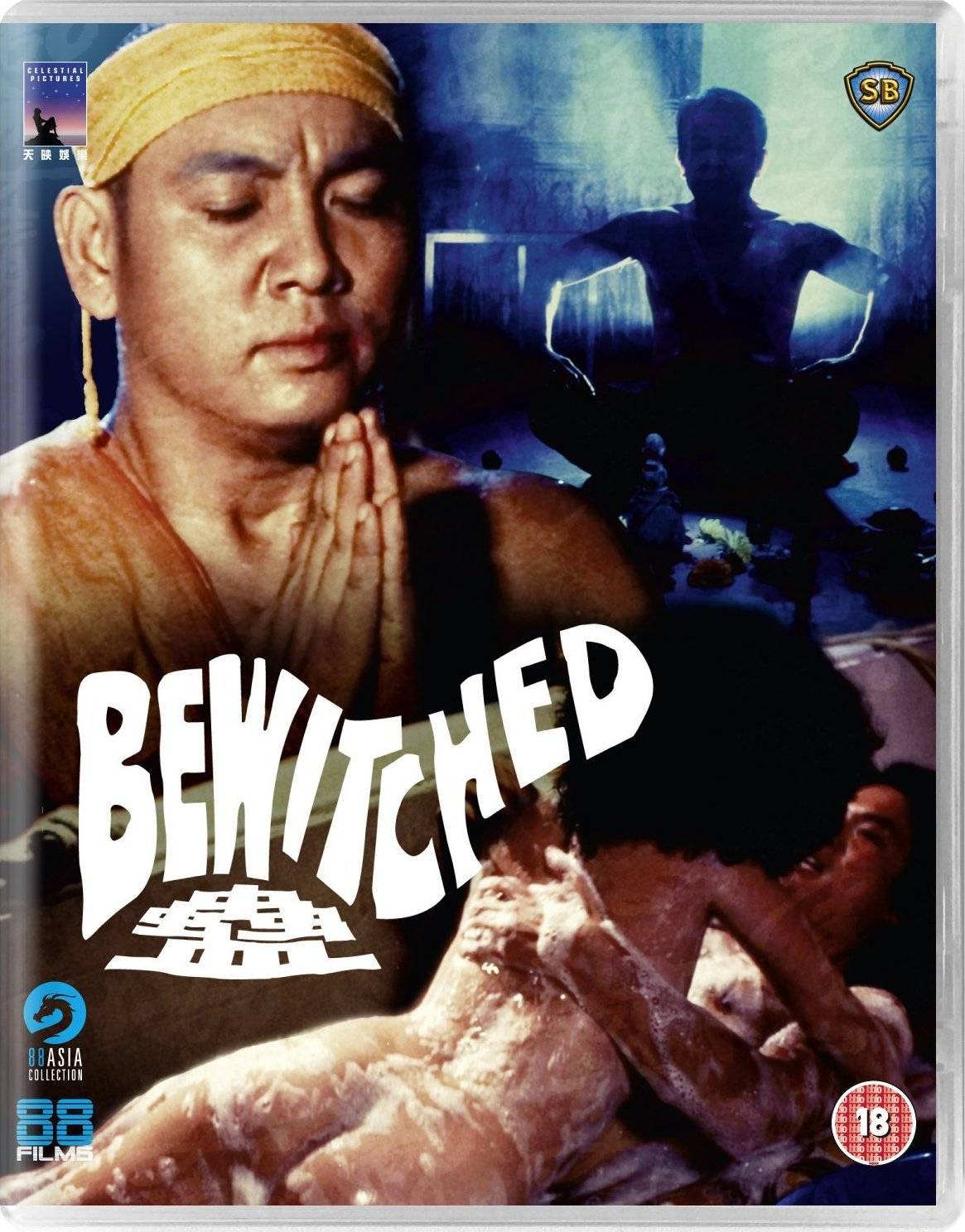 Bewitched (1981)