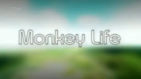 BSkyB - Monkey Life Series 1 (2007)