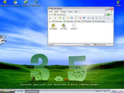 Windows XP Coccinelle Métamorphose 3.5