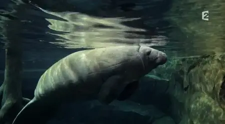(Fr2) Bienvenue au zoo de Paris (2014)