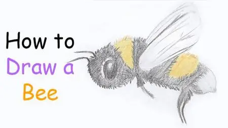 Colored Pencil Drawing: How to Draw a Bee Step by Step Guide