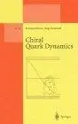 Chiral Quark Dynamics