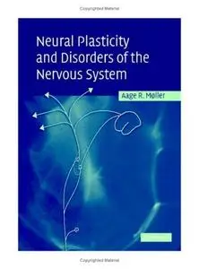 Neural plasticity and disorders of the nervous system