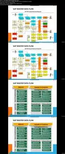 SAP Series: The Definitive Guide to SAP Master Data