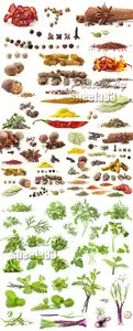 Stock Photo - Herbs & Spices