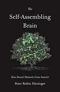 The Self-Assembling Brain: How Neural Networks Grow Smarter