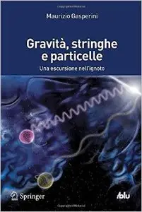 Gravità, stringhe e particelle. Una escursione nell'ignoto