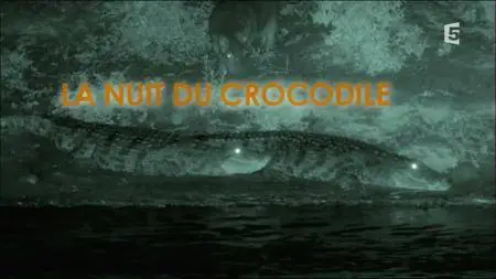 (Fr5) La nuit du crocodile (2016)