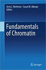 Fundamentals of Chromatin (Repost)