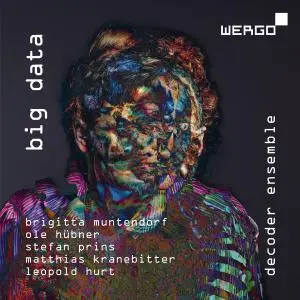 Decoder Ensemble - Big Data (2019)