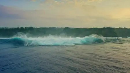 Distance Between Dreams (2016)