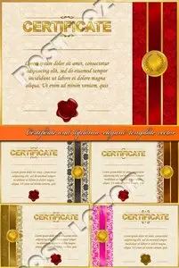 Certificate and diploma elegant template vector