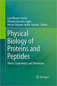 Physical Biology of Proteins and Peptides: Theory, Experiment, and Simulation