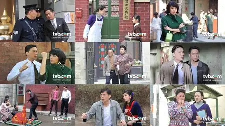 TVB series 2010 - A Chip Off the Old Block