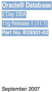 Oracle Database 2 Day DBA 11g Release 1 (11.1)