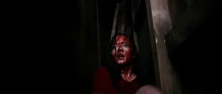 Evil Dead (2013)