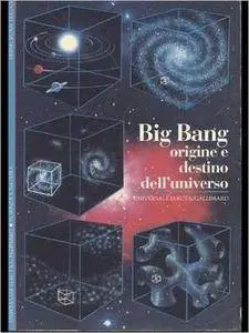 Trinh Xuan Thuan - Big Bang. Origine e destino dell’universo