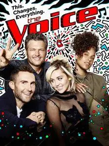 The Voice S11E22 (2016)