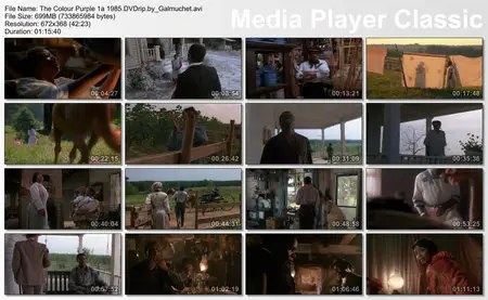 (Steven SPIELBERG) The Color Purple [DVDrip] 1985 Re-post