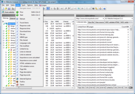Micro-Sys A1 Website Analyzer 2.2.0 Multilingual