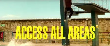 Access All Areas (2017)