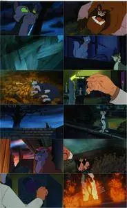 Felidae (1994)