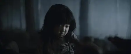 Ayla: The Daughter of War (2017)