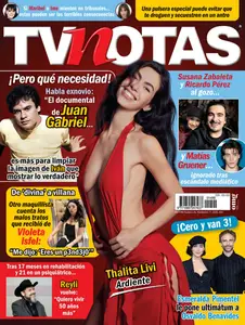 TvNotas - 11 Noviembre 2025