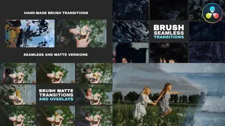 Hand-Made Brush Transitions And Overlays | DaVinci Resolve 58816446