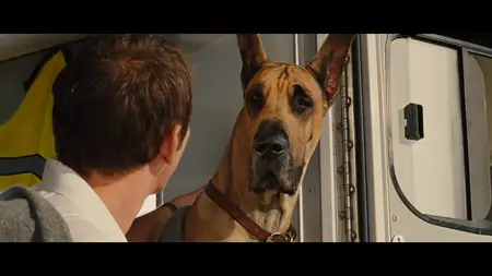 Marmaduke (2010)