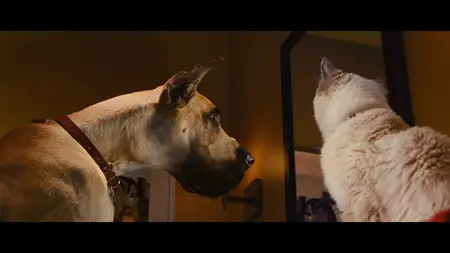 Marmaduke (2010)