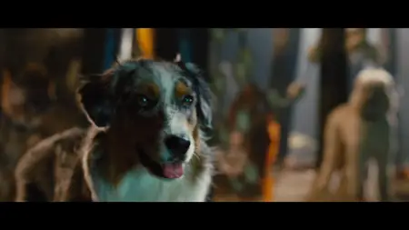 Marmaduke (2010)