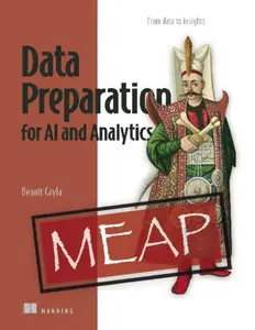 Data Preparation for AI and Analytics  (MEAP V03)