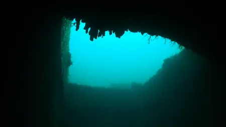 RTE - Ireland's Wild Islands (2023)