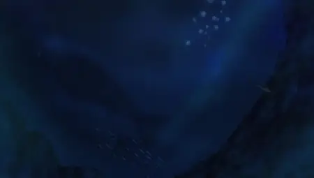 One Piece Log - Fish-Man Island Saga - 05 (480p