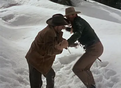 Springfield Rifle (1952)