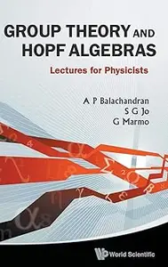 Group Theory and Hopf Algebra: Lectures for Physicists