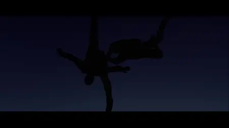 Terminal Velocity (1994)